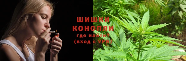 ГАЛЛЮЦИНОГЕННЫЕ ГРИБЫ Балабаново