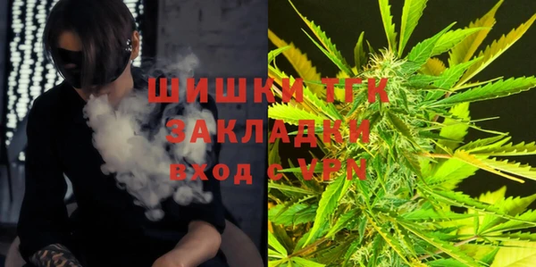 ГАЛЛЮЦИНОГЕННЫЕ ГРИБЫ Балабаново