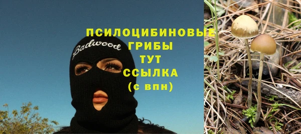 марихуана Баксан