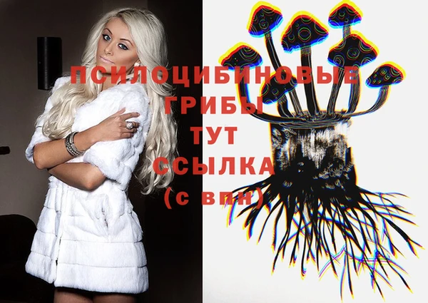 apvp Балахна