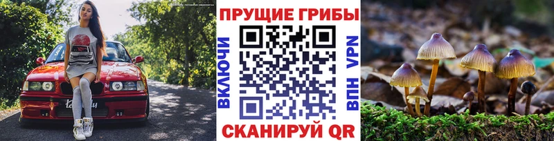 Псилоцибиновые грибы Psilocybine cubensis  OMG онион  Унеча 
